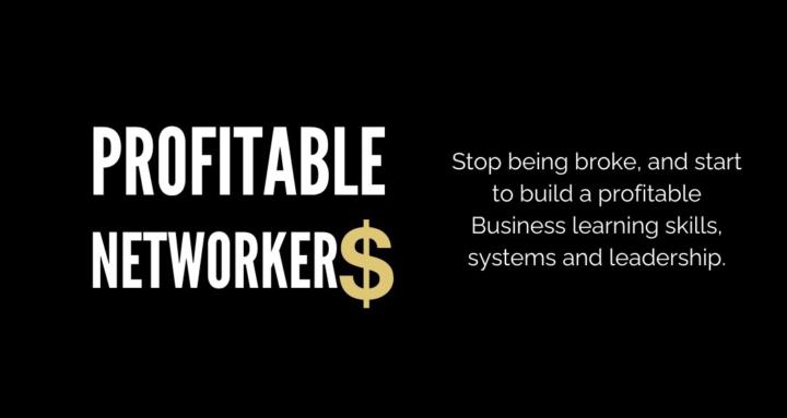 Profitable Networker