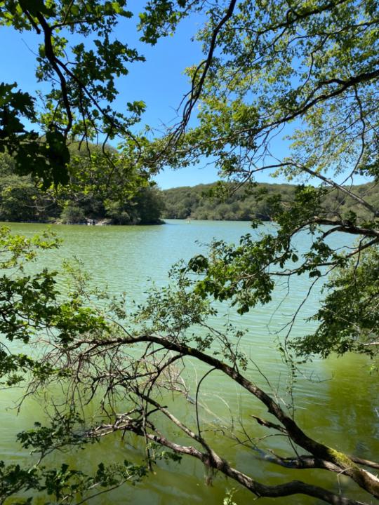 Christophe Beaussire