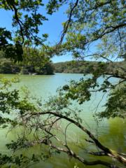 Christophe Beaussire