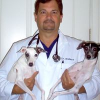 Dr. Mark Wallace
