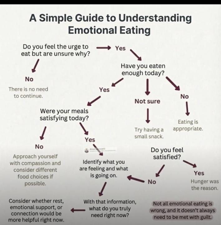 Understanding your eating habits 