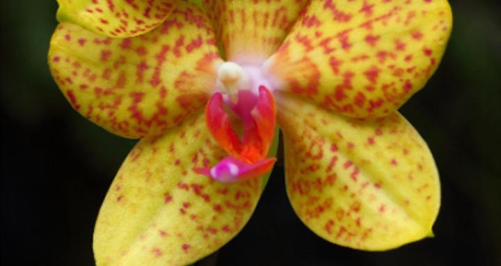 my next level church