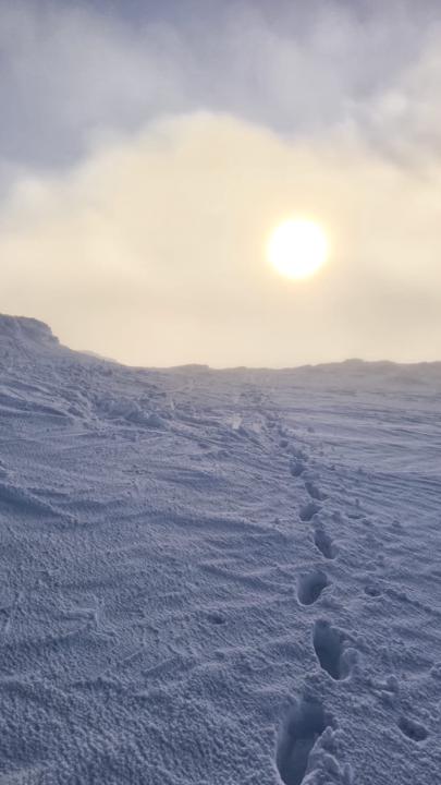 Alvaro Lopez Escalona