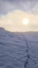 Alvaro Lopez Escalona