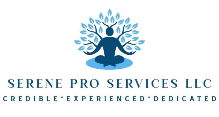 Serene Tax Service Level Up