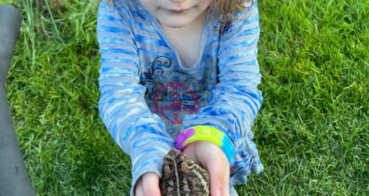 Parenting Autistic Toddlers