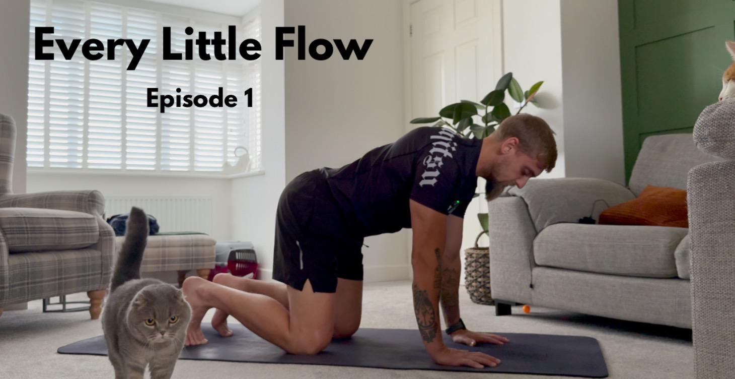 Yoga For Beginners - Every Little Flow-Episode 1