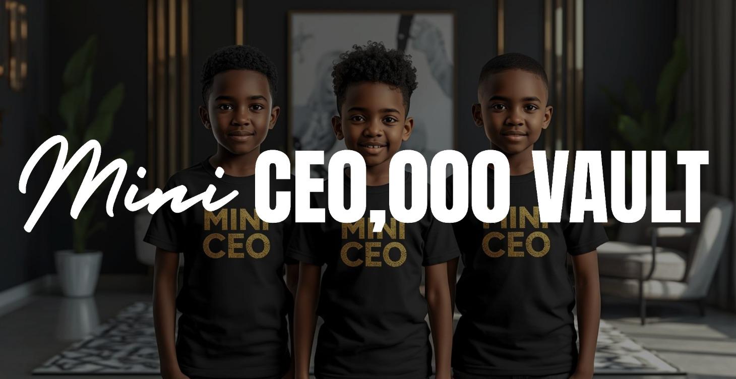MINI CE0,000 VAULT