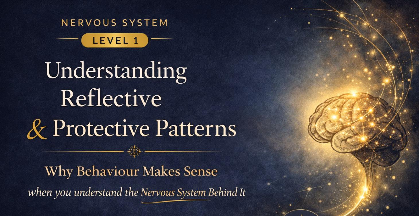 Level 1:  Nervous System Foundations