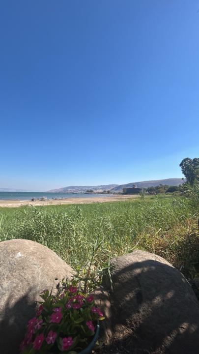 Ido Paz