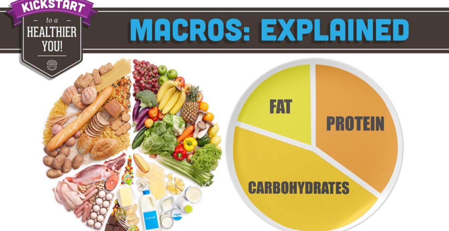 3) Understanding Macronutrients