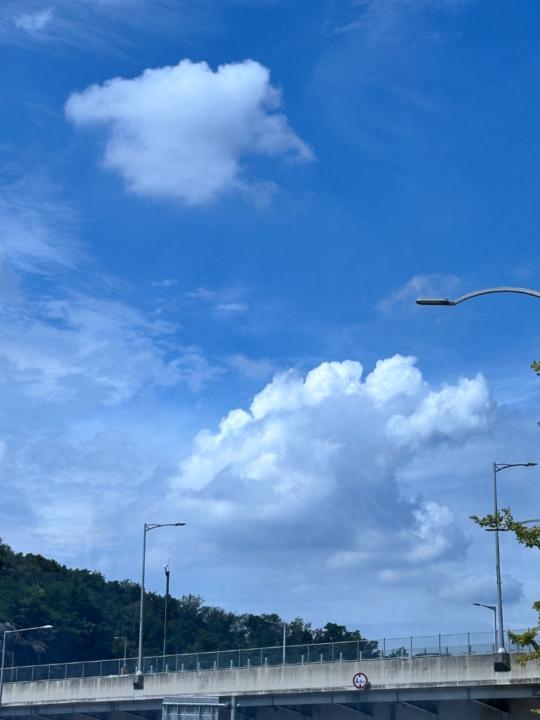 태희 김
