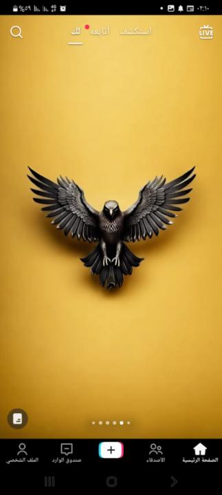 Saber abd elmadjid Sebbar