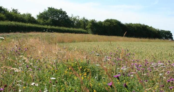 Getting back on track