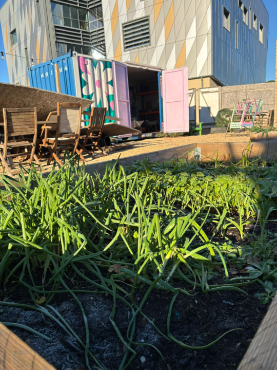 Let's Get Started! Introduce Yourself and Your Garden Space 🌱