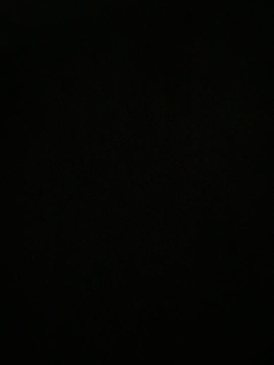 X Y