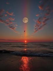 Marina Hernández Hernández