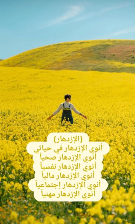 Haytham Fares