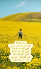 Haytham Fares
