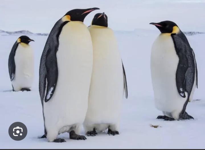 Holidays 20 January 2026