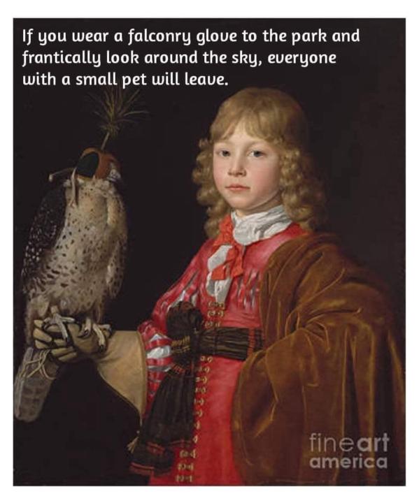 Gentlemanly Pursuits: Falconry (Post from Scott)