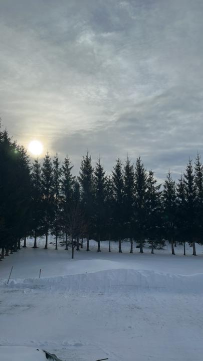 Holidays 18 December 2025