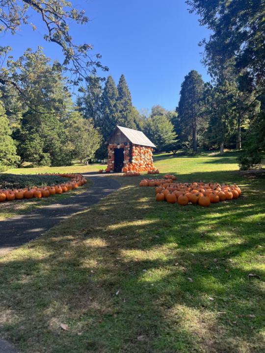 Getting Outdoors to Enjoy Fall 