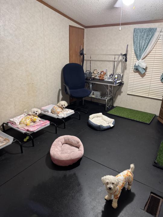 When The Kids Are Grown