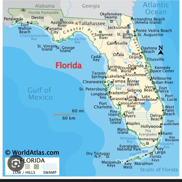 Holidays 25 January 2026