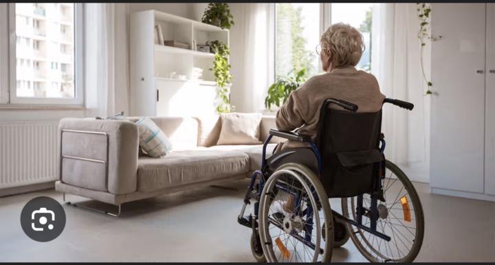 Holidays 11 February 2026