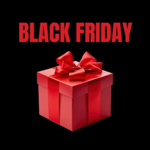 🎁 BLACK FRIDAY STEAL 🎁