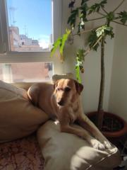 Jose Fernando Hernandez Llado