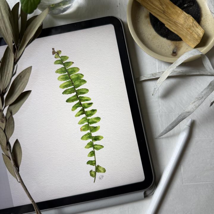 安靜的午后畫圖最好了