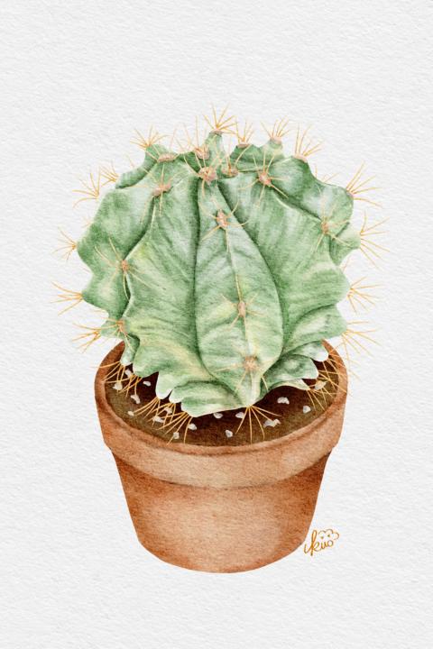 仙人掌🌵完成✅