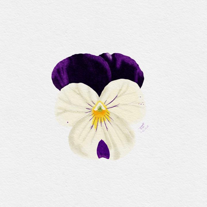 跟練跟改圖的一些小東西