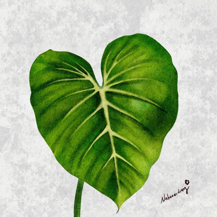 錦緞🌿