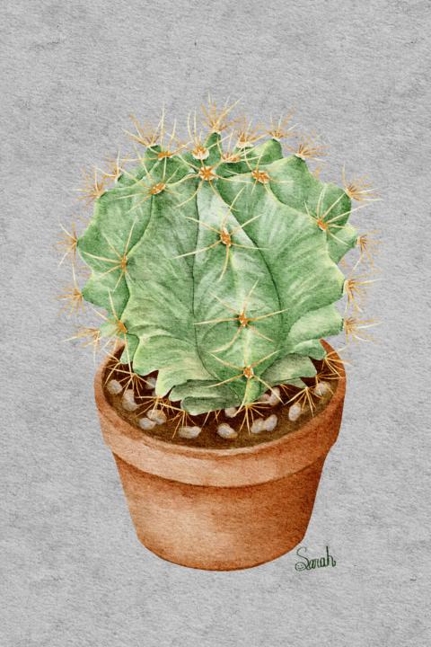 仙人掌🌵 完成了好開心~