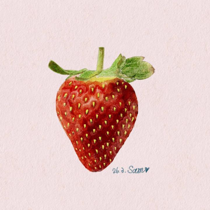 草莓作品跟畫🍓