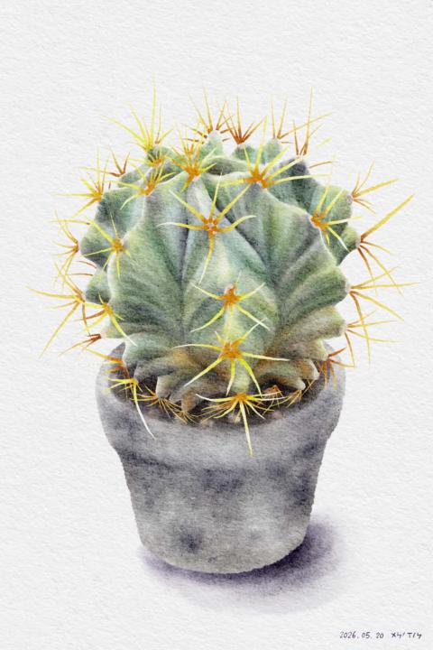跟練🌵帥帥仙人掌