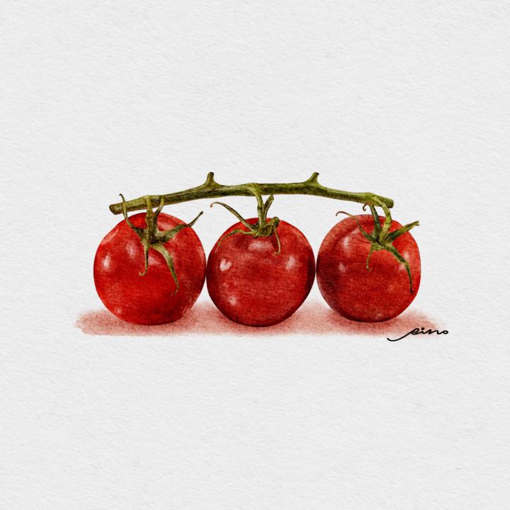 番茄🍅