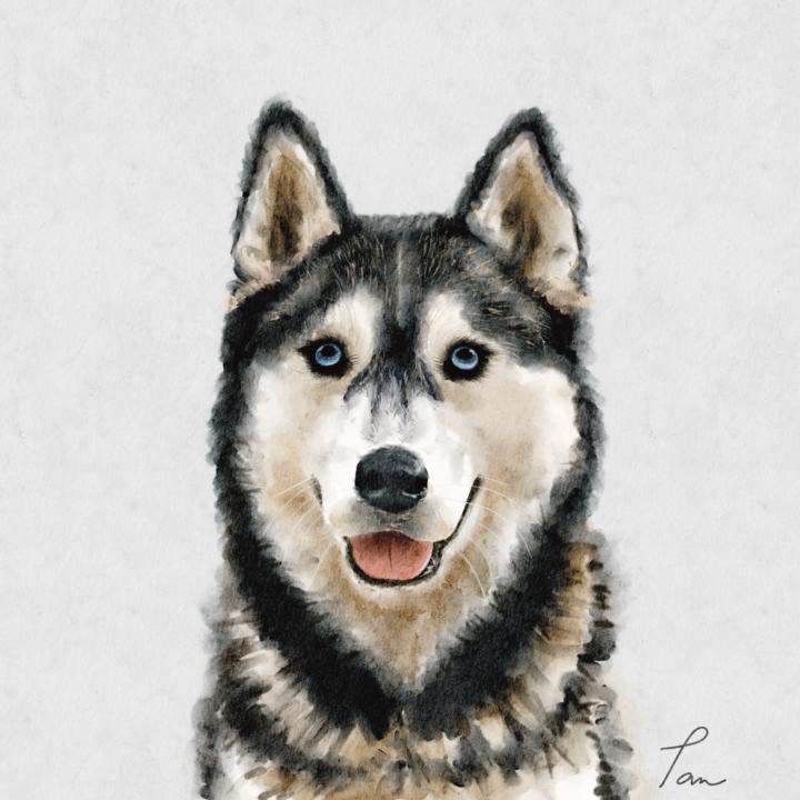 分享近期作品❤️