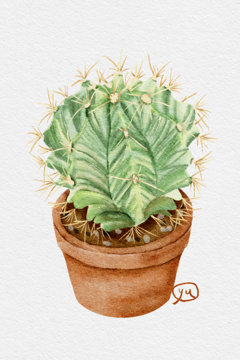 🌵
