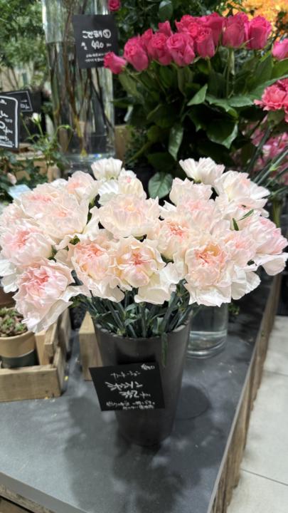 大家新年快樂唷～～