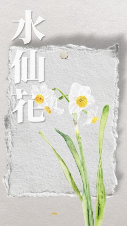 畫得有點隨興，終於完成了✅