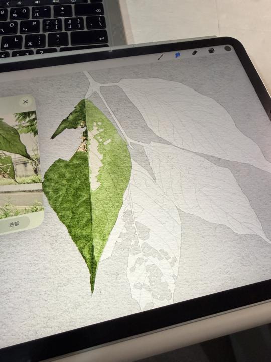 你 iPad 裡那張未完成的作品
