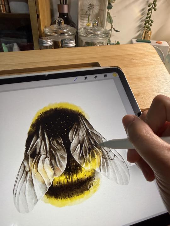 憨憨的熊蜂🐝 嗡~嗡~