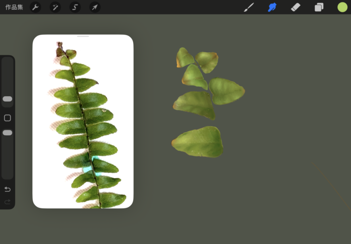正在努力摸索圖層秘密的新手