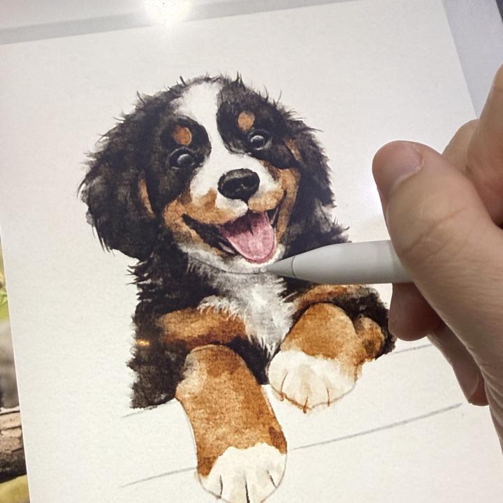 身爲一個使命必達的老師