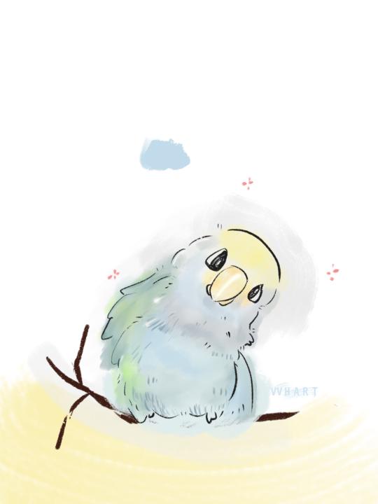 🎨 軟萌鳥寶報到！用 Procreate 畫了一隻蓬鬆小鸚鵡 🦜