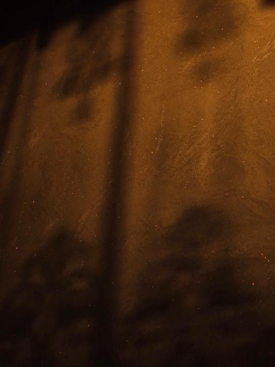 Ariunbolor Narankhuu